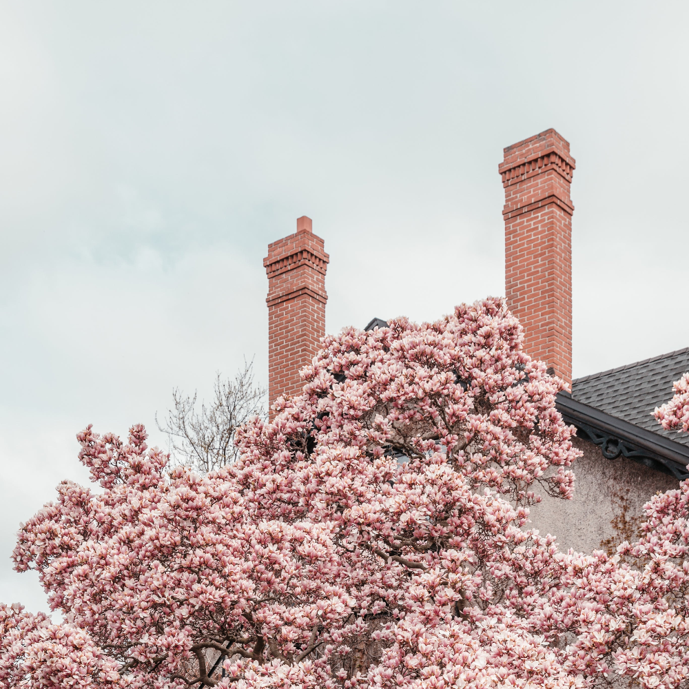 7 Signs Your Flue Liner May Need Replacing