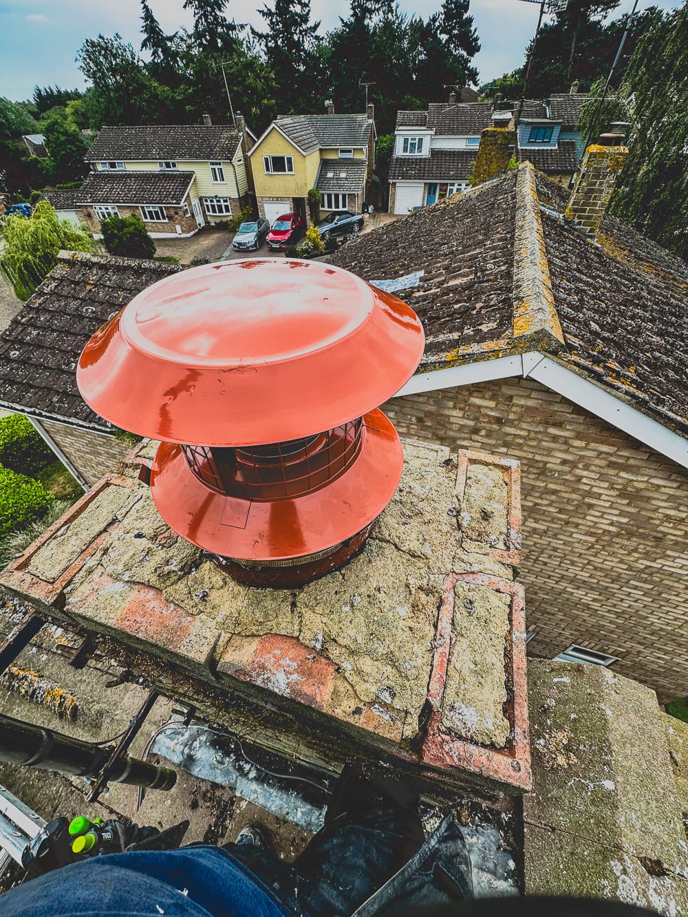 chimney bird guard in colchester