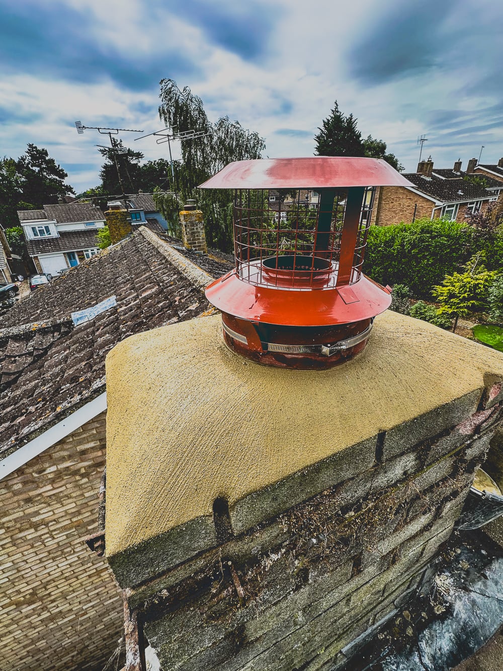 chimney bird guard in colchester